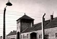 Auschwitz: History of a Death Camp