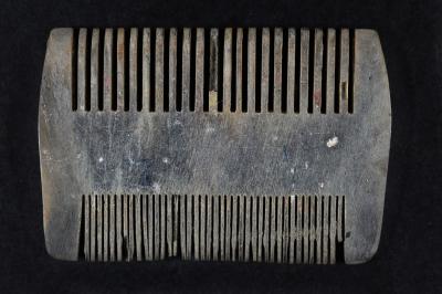 The comb that Janka, Shlomo's mother, traded in Auschwitz in exchange for a full day's ration of bread