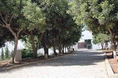 View of the Avenue of the Righteous after renewal