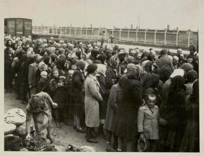 Ebrei appena giunti ad Auschwitz-Birkenau, prima di affrontare la selezione