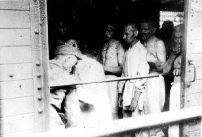 גברים ברכבת הגירוש מיאסי לקלראסי, רומניה