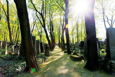Der jüdische Friedhof Weissensee (Quelle: Edition Salzgeber)