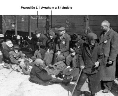 Fotografie č.1, Příjezd do Osvětim-Birkenau - prarodiče Lili Avraham a Sheindele