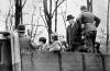 גירוש גברים יהודים מרגנסבורג לדכאו בעת ארועי ליל הבדולח, 10 בנובמבר 1938.
