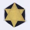 Jewish badge that belonged to the Leib family from Iasi, Romania.
