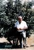 آقای اسکار شیندلر در جوار درختی که به احترام ایشان در بولوار نیکوکاران جامعه بشری کاشته شده است