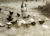יפה זוננסון מאכילה תרנגולות בחצר בית הקיץ המשפחתי, טיטיאנצה, פולין, יוני 1941.