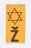 Jewish badge that belonged to Vlasta (Milanovic) Rosenberg from Varaždin, Croatia.