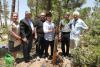 Participants in Yad Vashem 60th Anniversary International Mission replace a tree that had been planted in honor of the Righteous Among the Nations that was uprooted in the severe snowstorm of Winter 2013