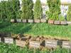 Preparación de la colocación de las nuevas señales de tumbas en el cementerio judío de Djakovo, 2011