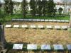 The new grave markers of the victims of the Djakovo Concentration Camp, the Jewish cemetery in Djakovo, 2011