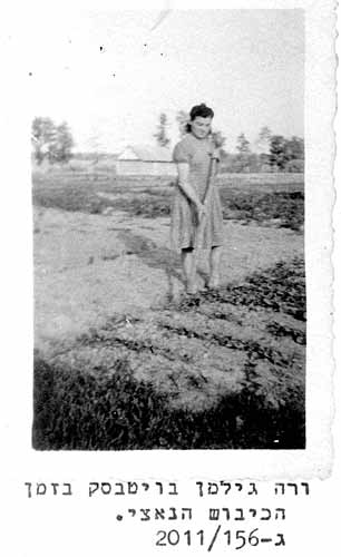 Двора (Вера) Гильман во время нацистской оккупации