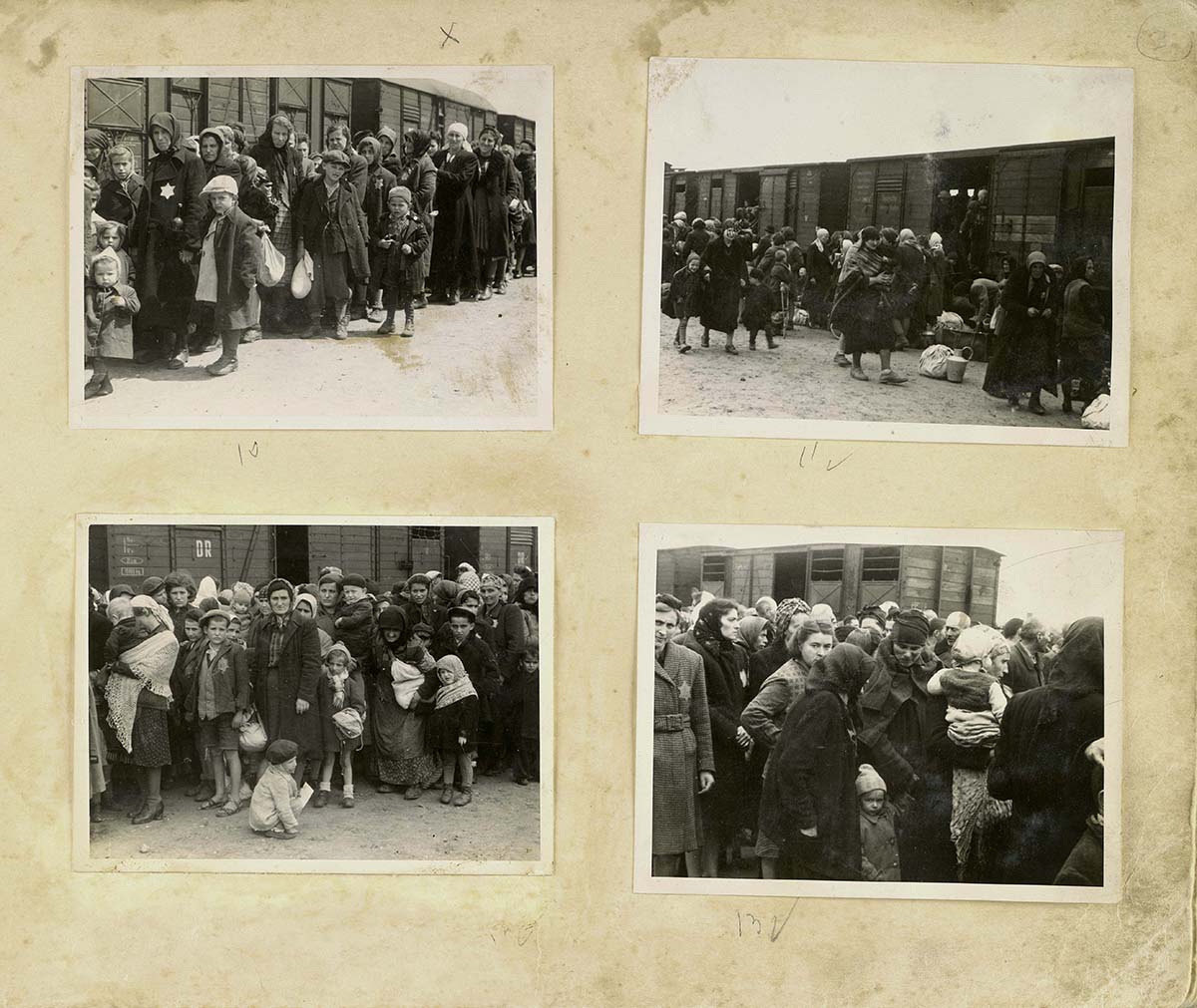 Mujeres y niños en la plataforma de llegada de Auschwitz conocida como la  "rampa". Los judíos eran sacados de los trenes de deportación a la rampa donde pasaban por un proceso de selección; algunos eran enviados de inmediato a su muerte y otros a trabajos forzados