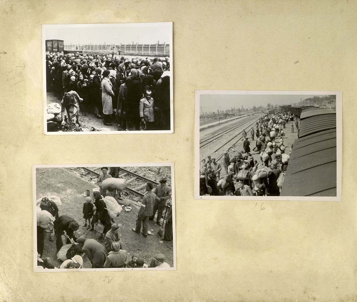 Juifs arrivant au camp avant la sélection.  Les arrivées de masse comme celle-ci étaient presque quotidiennes durant l'été 1944, quand l'assassinat des Juifs de Hongrie était à son paroxysme