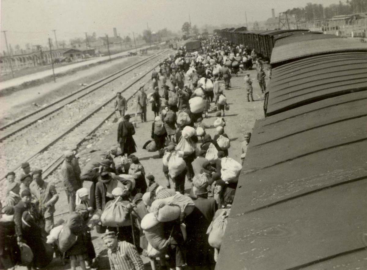 יהודים מגיעים למחנה לפני הסלקציה. מחזות המוניים כגון זה היו תופעה כמעט יומיומית בקיץ 1944, כשרצח יהודי הונגריה היה בשיאו