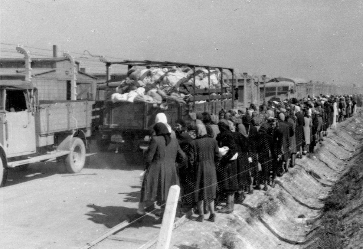 Camions transportant les biens confisqués vers la zone « Kanada » d'Auschwitz-Birkenau