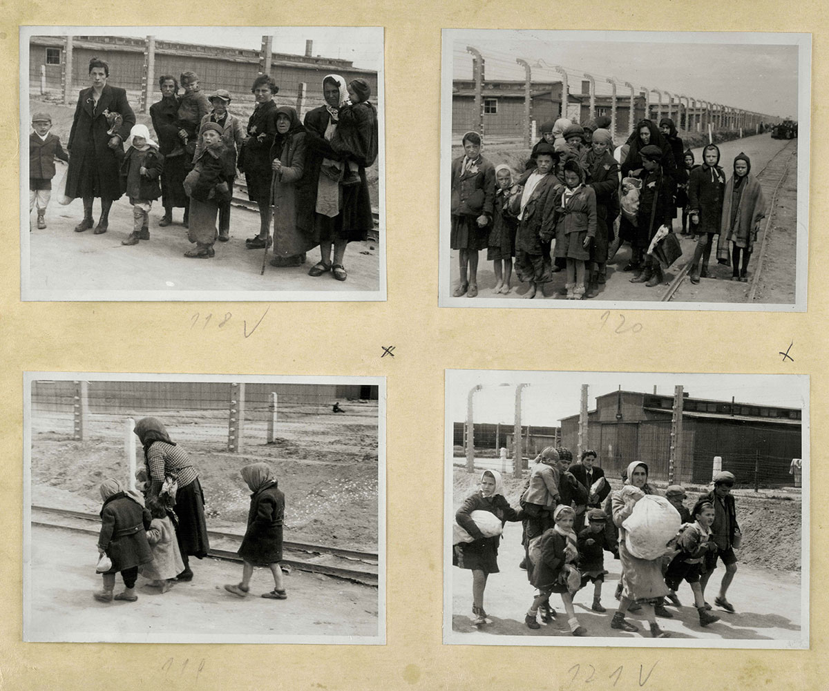 Die Auskleideräume der Krematorien waren nicht groß genug, um die Massen der ungarischen Juden aufzunehmen, die im Frühjahr 1944 in Auschwitz eintrafen. So mussten die Juden warten, bis sie die Auskleideräume betreten konnten. Sie warteten im Allgemeinen in einem Wäldchen nahe des Krematoriums