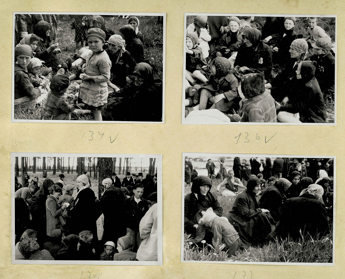 Jews who were classified as "not fit for work" waiting in a grove outside Crematorium IV before they were to be gassed. At this point, the Jews were exhausted and in a state of shock from the horrors of the journey and the selection process that they had just endured. The vast majority had no idea what fate awaited them.