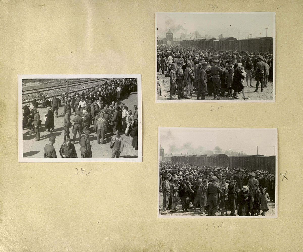 Jews undergoing the selection process on the Birkenau arrival platform known as the "ramp"