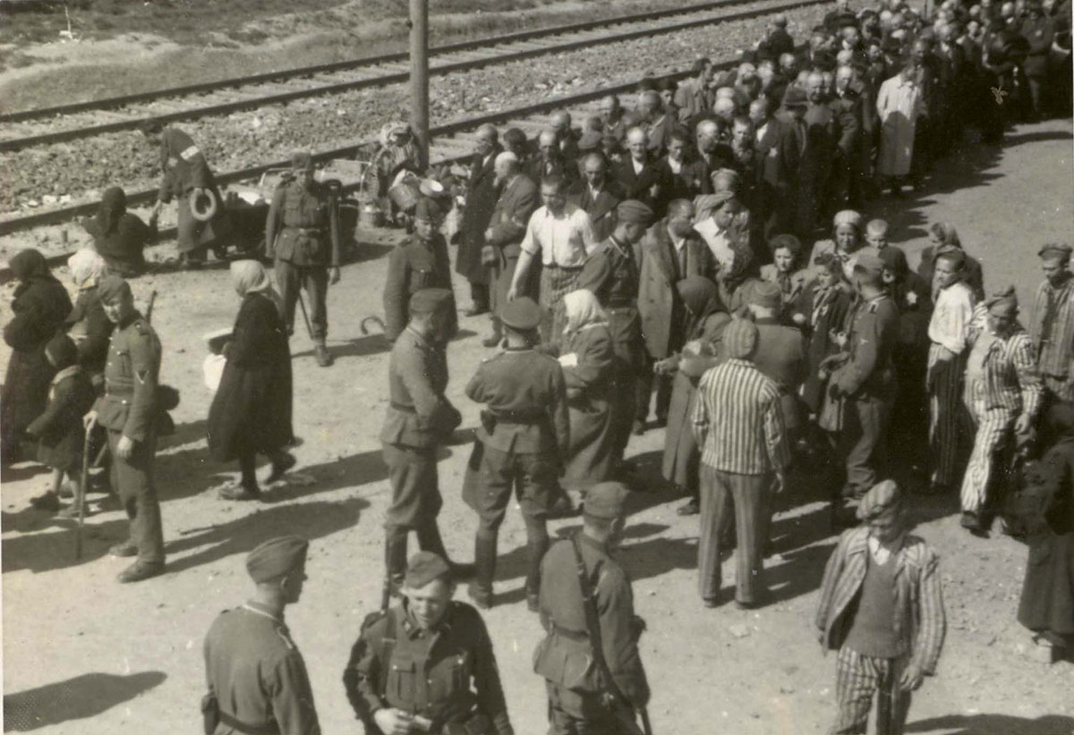Селекция евреев на рампе. На заднем плане видны ворота лагеря. Эсэсовцы вынуждали заключенных со стажем помогать прибывшим и стоять на «рампе», чтобы обеспечить «упорядоченный» процесс отбора