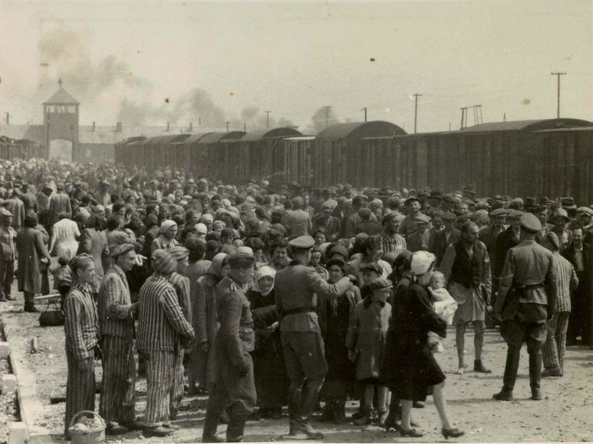 Los hombres de las SS separan a los prisioneros en dos grupos