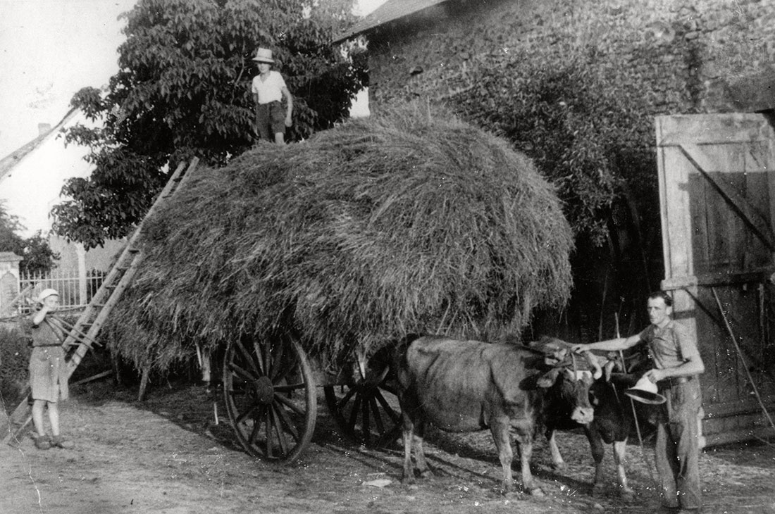 Angel-Ingeborg Haas, a Jewish teenager living at the Chabannes children's home, helping to load a hay wagon at the farm where she worked near the home