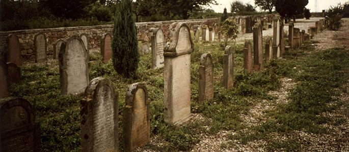 The Orthodox Jewish cemetery in Bratislava. The first funeral was conducted in 1846; the cemetery is still in use today