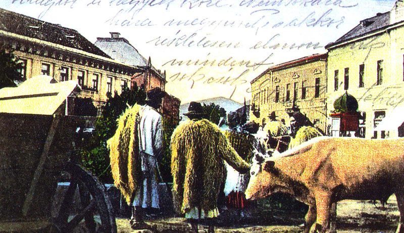 Market in Munkács, 1910