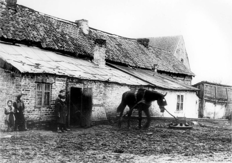 A Jewish business in Plonsk, 1940