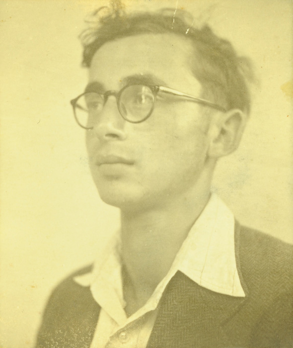 Yosef Turteltaub, Alemania, antes de la guerra