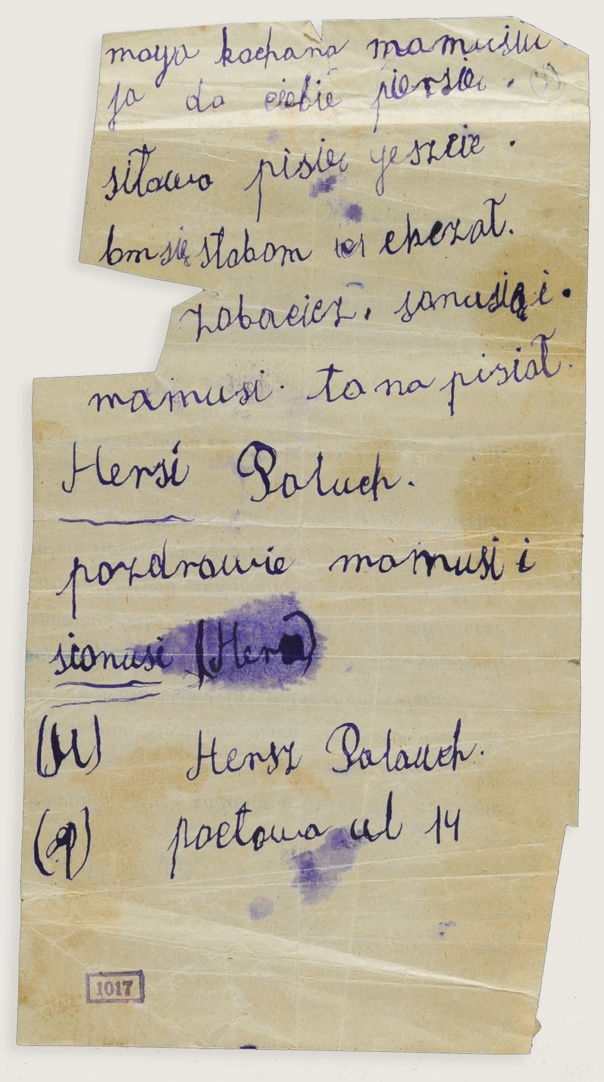 Last letter that 13-year-old Hersch Paluch sent to his mother Helena