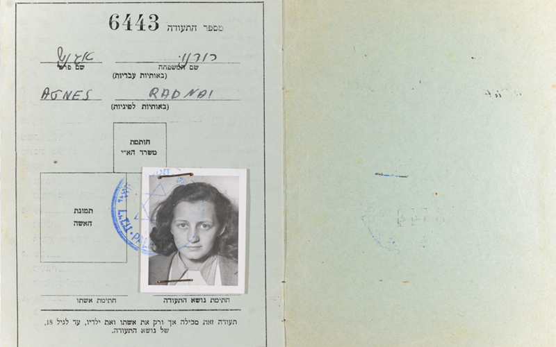 Agnes (Rosenberg) Radnai's Aliyah (immigration) certificate.  She changed her family name from Rosenfeld to Radnai before immigrating