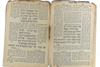 A page from inside the Haggadah