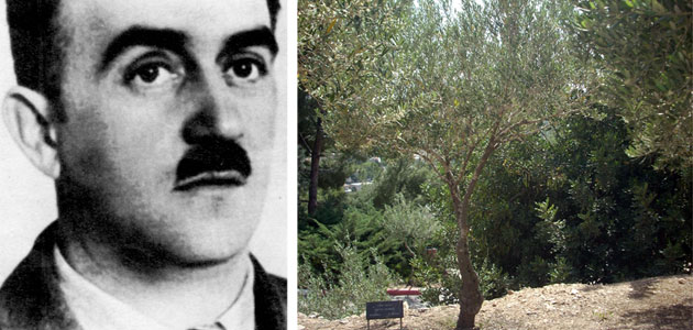 Links: Anton Schmid. Rechts: Der Baum, der zu Ehren von Anton Schmid gepflanzt wurde