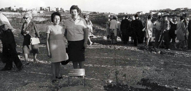 Pflanzung eines Baumes zu Ehren von Malvina Csizmadia, Yad Vashem, 30. Oktober 1967