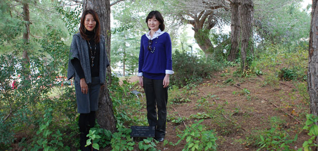 מדוקה נאקמורה (מימין) ומרי סוגיהרה (משמאל) עומדות על יד עץ שניטע לכבוד סבן, חסיד אומות העולם צ'יונה-סמפו סוגיהרה. יד ושם, 16 בדצמבר 2012