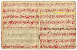 Eine Seite aus Stanisławas Tagebuch