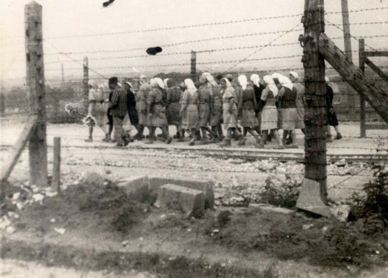    אסירות יהודיות בדרך לעבודת כפיה במחנה פלשוב.  צולם כנראה ע"י אמון גת (16AO7)