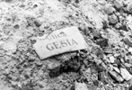 A sign reading “Gęsia Street”, found in the ruble of the ruins in the Warsaw Ghetto