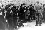 יהודים שהוצאו מבונקר על ידי חיילי אס-אס במהלך דיכוי מרד גטו ורשה