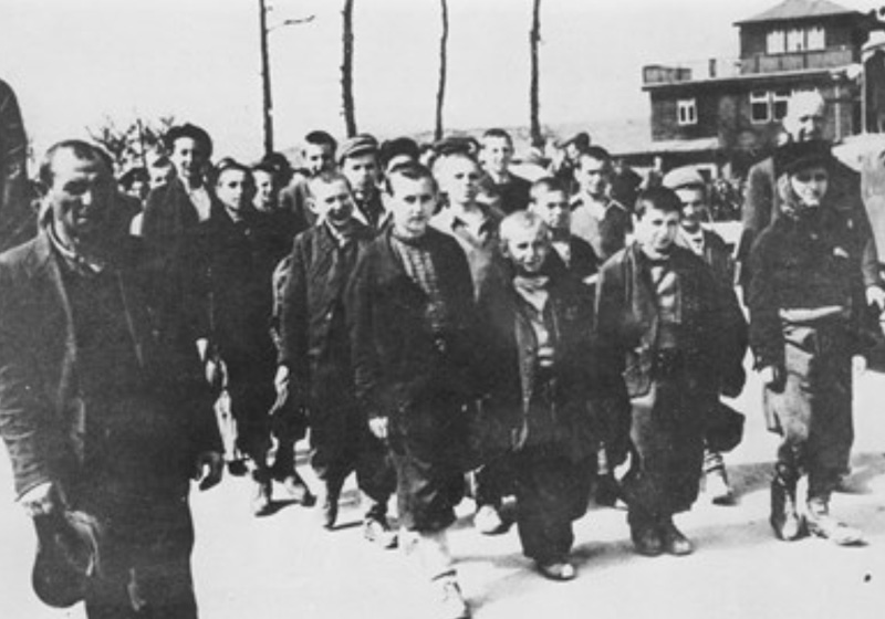 Des enfants, survivants du camp de Buchenwald, à la libération. Buchenwald, Allemagne 1945