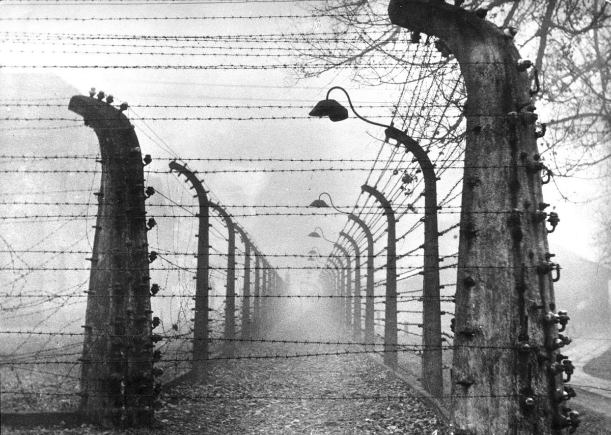 Barbed wire fences in the Auschwitz-Birkenau extermination camp