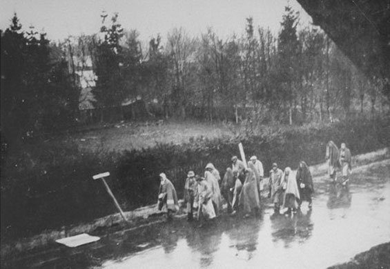 Prisoners on the death march that left Dachau in the direction of Wolpertshausen. Secretly photographed by local inhabitants. April 1945, Germany