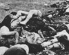 Яссы, Румыния, 28/06/1941. Тела евреев, убитых во время погрома.