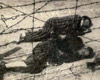 Берген-Бельзен, Германия, апрель 1945. После освобождения: тела убитых заключенных возле колючей проволоки.