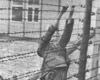 Маутхаузен, Австрия, 1942. Заключенный, бросившийся на колючую проволоку под электрическим током.