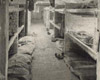 Аушвиц-Биркенау, Польша. Барак для женщин-заключенных.