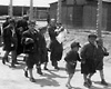 Аушвиц-Биркенау, Польша, 27/05/1944. Женщины и дети на дороге, ведущей к газовым камерам.