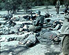 Ордруф, Германия, после освобождения. Американские солдаты фотографируют тела убитых немцами заключенных.