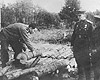 Клоога, Эстония. Авраам Аронсон демонстрирует советским офицерам, каким образом в лагере кремировались трупы.